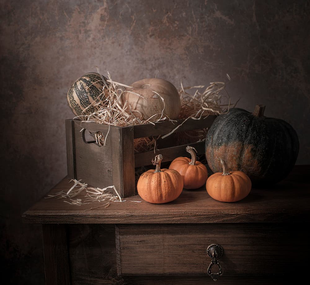 Rustic Fall Pumpkins by Margareth Perfoncio — canvas wall art