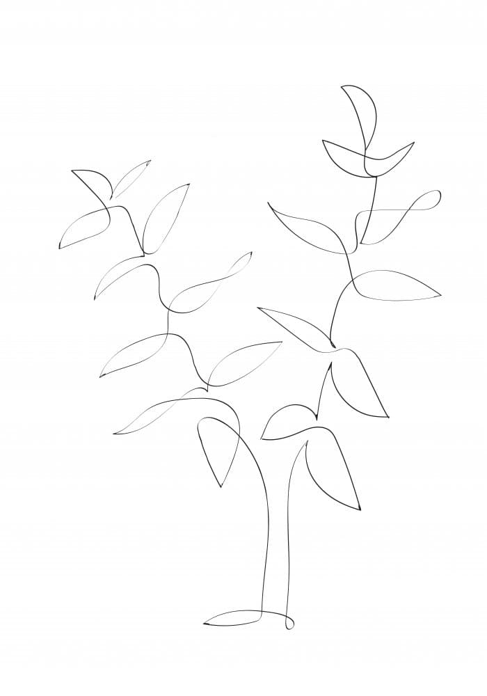 Minimalist Botanical Lines by Pictufy Studio II — canvas wall art