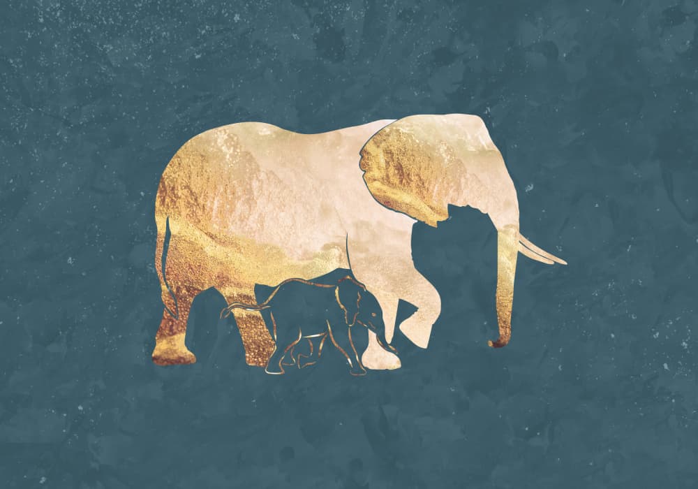 Golden Elephant Family by Sarah Manovski — canvas wall art