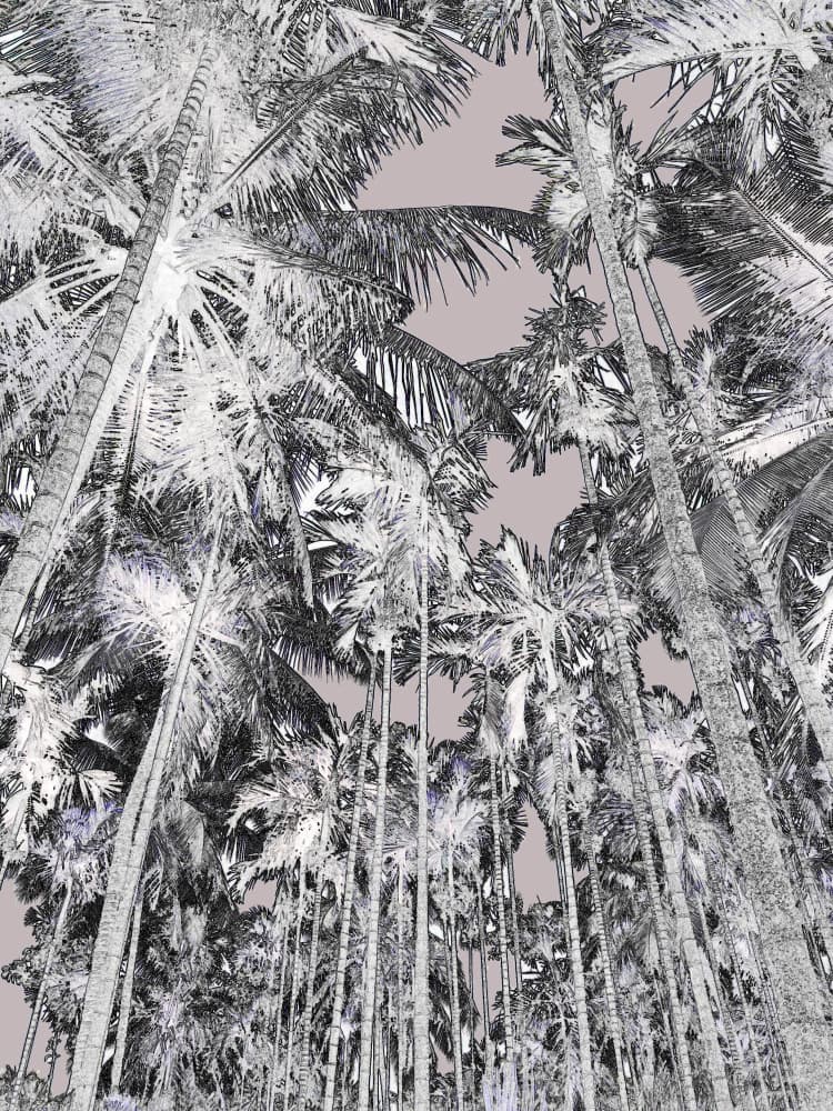 Abstract Palm Trees by Santhosh ch — canvas wall art