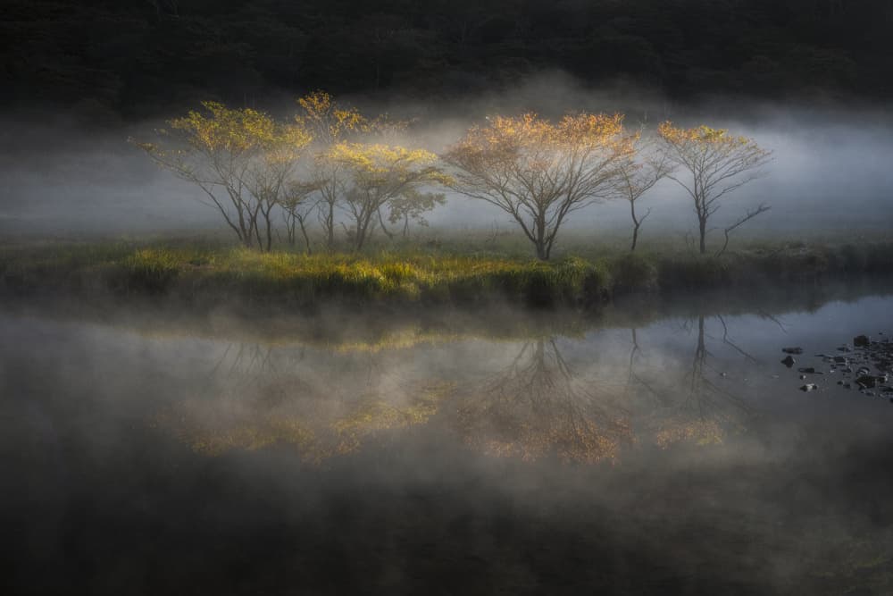 Misty Morning Reflections by Akira Nagase — canvas wall art