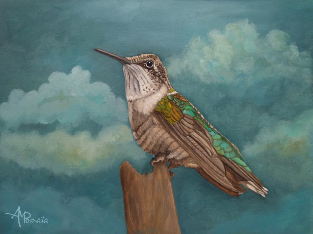 Skyward Hummingbird by Angeles M. Pomata — canvas wall art