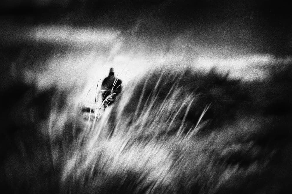 Mystery Figure In Grass by Ina Tänzer — canvas wall art