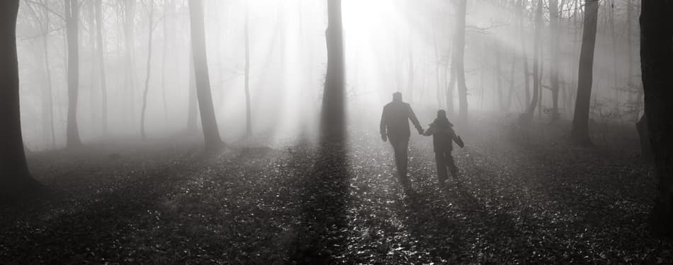 Misty Forest Light by Floriana Barbu — canvas wall art