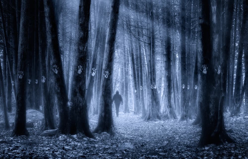 Dark Forest Handprints by Louis-Philippe Provost — canvas wall art