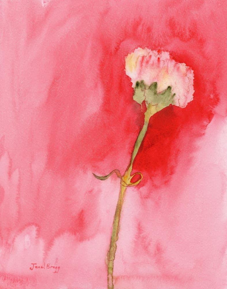 Blush Watercolor Bloom by Janel Bragg — canvas wall art