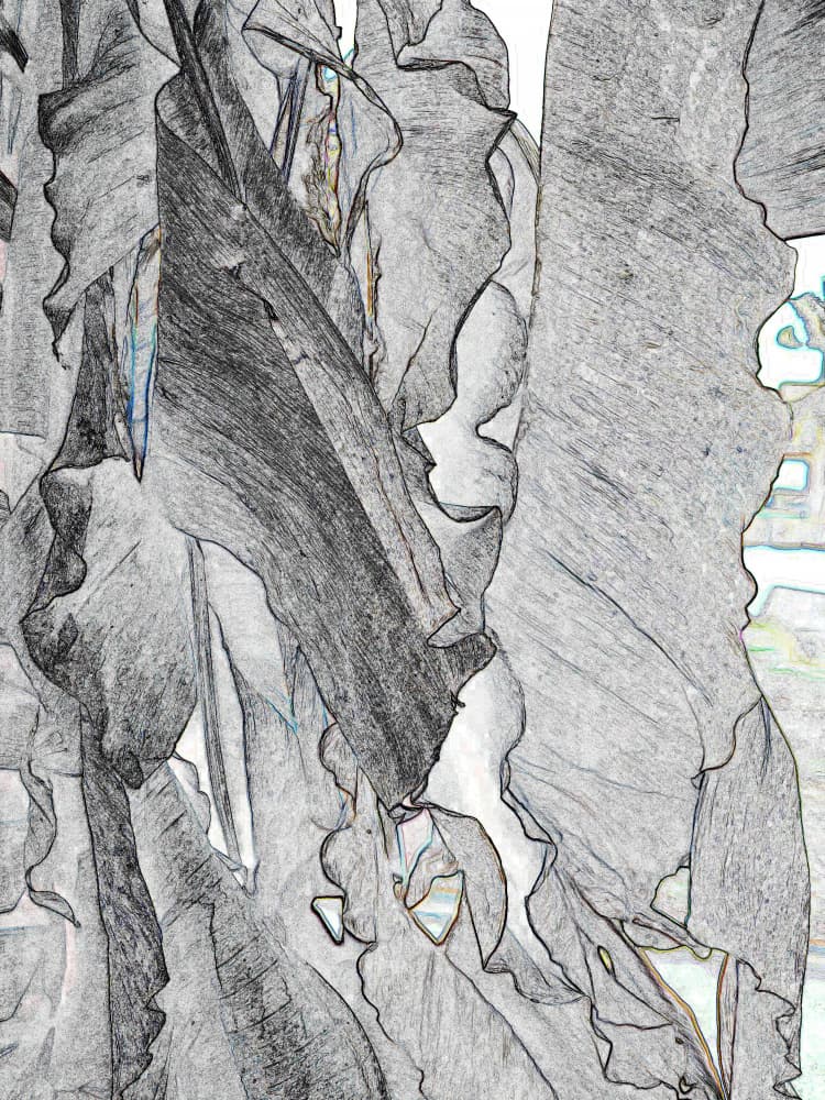Textured Abstract Leaves by Santhosh ch — canvas wall art