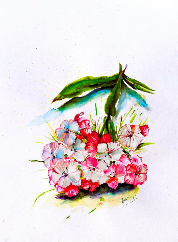 Colorful Watercolor Blooms by Anda Bieza — canvas wall art