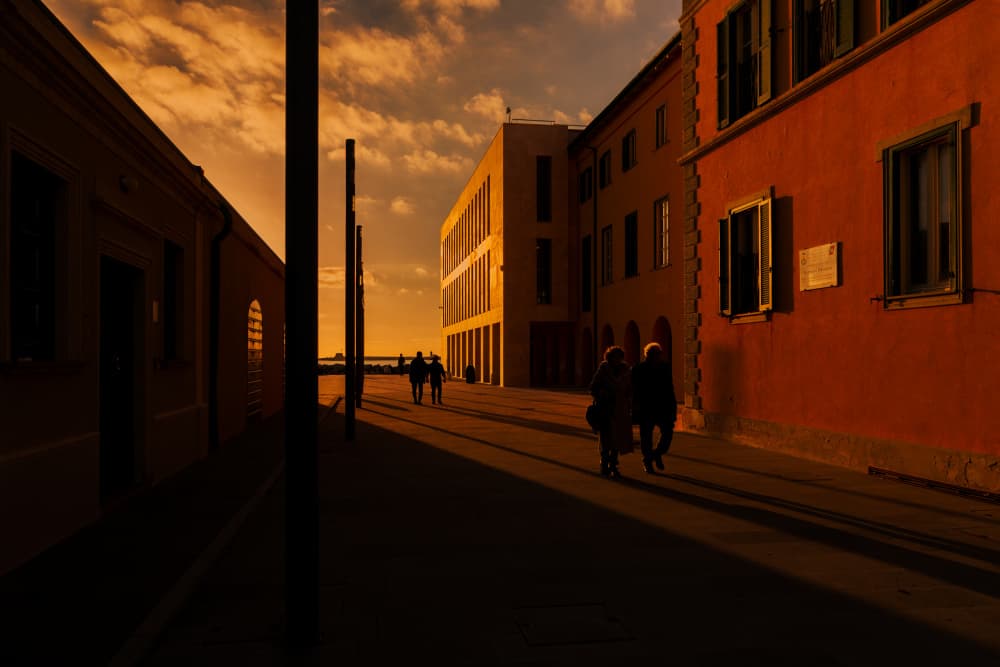 Golden Hour Stroll by Massimo Della Latta — canvas wall art