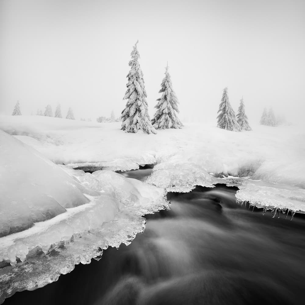 Misty Winter Stream by Daniel Řeřicha — canvas wall art