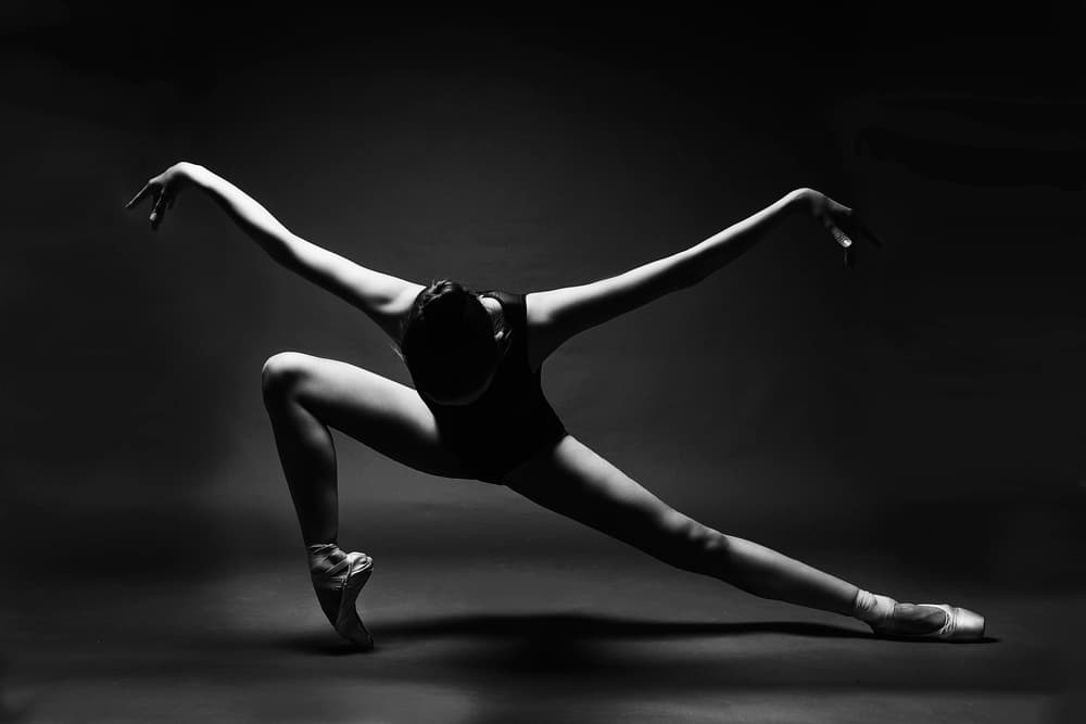 Graceful Ballerina Pose by Alexandr — canvas wall art