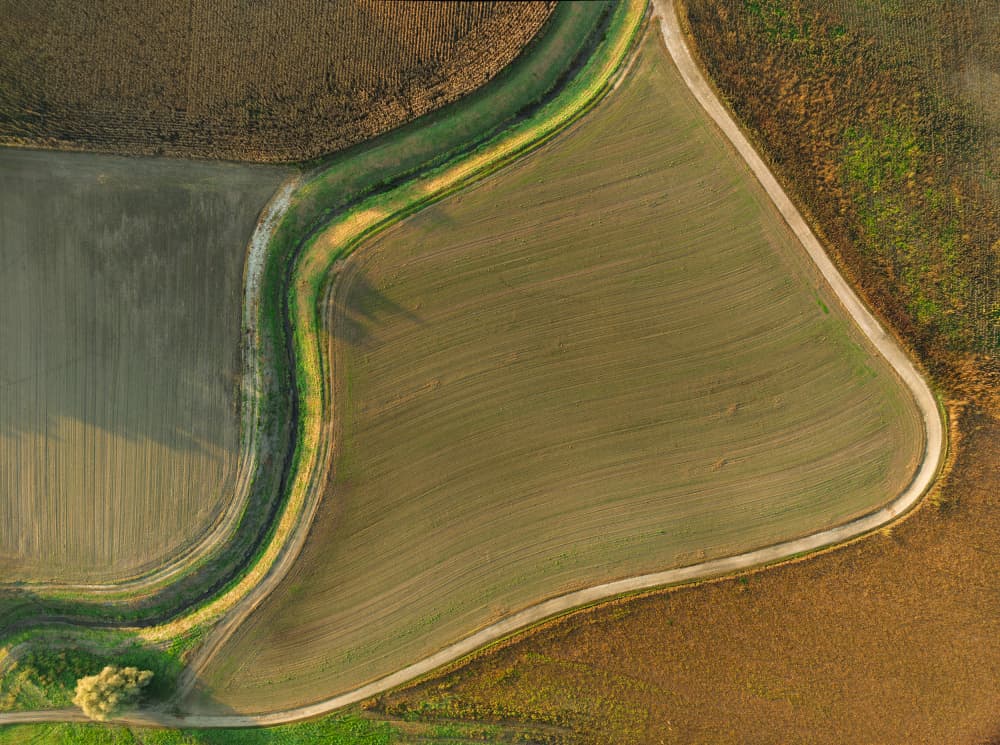 Curved Paths Farmland by Jure Kravanja — canvas wall art