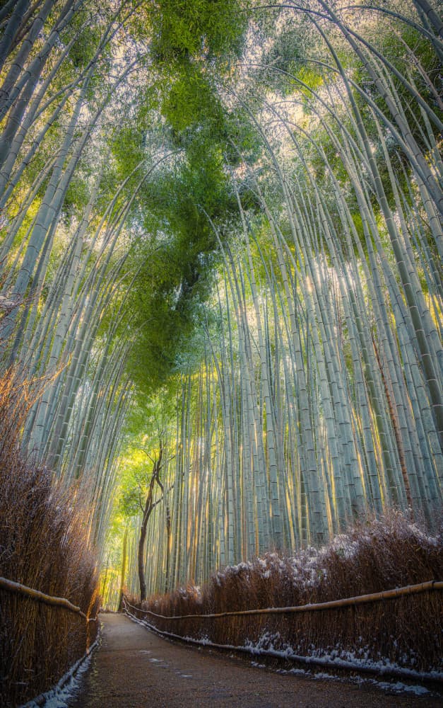 Arashiyama Bamboo Path by Hiroaki Ikeshita — canvas wall art