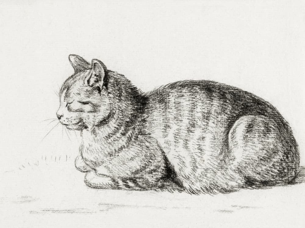 Lying Cat (1811)