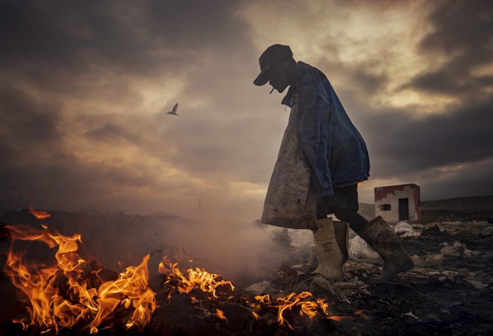 Landfill Worker Twilight by João Coelho — canvas wall art