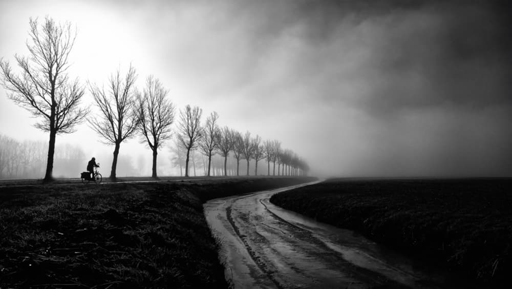 Lone Cyclist Misty Road by Jacob Tuinenga — canvas wall art