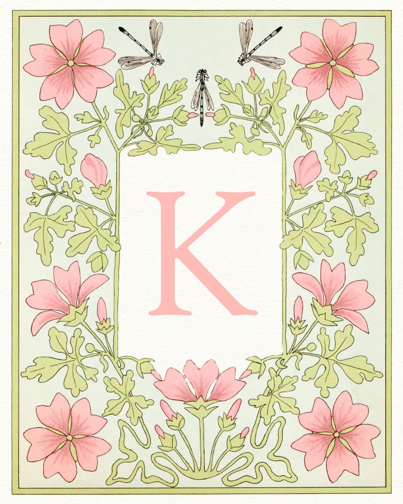 Floral K and Dragonflies by Wild Violets — canvas wall art