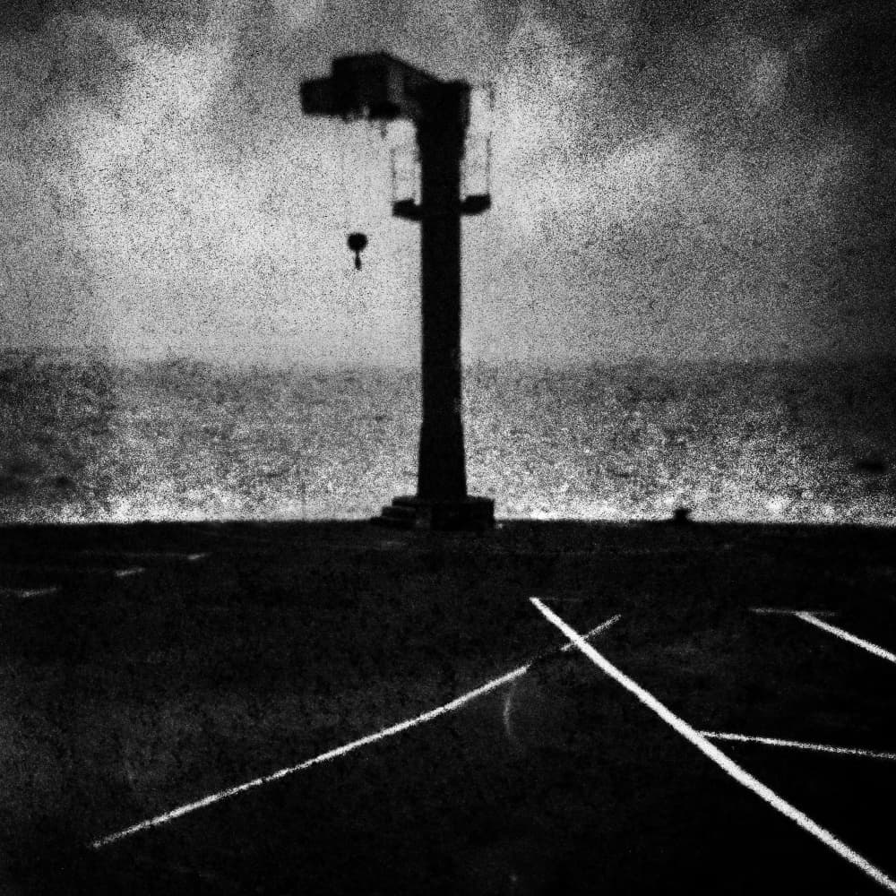 Dark Ocean Crane by Paulo Abrantes — canvas wall art