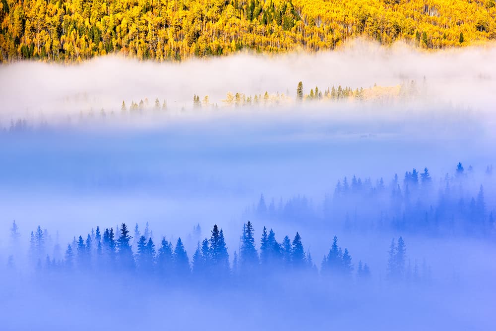 Golden Autumn Fog by Mei Xu — canvas wall art