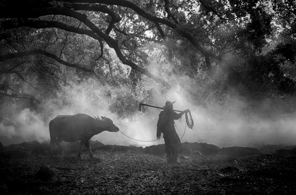 Misty Forest Journey by Angela Muliani Hartojo — canvas wall art