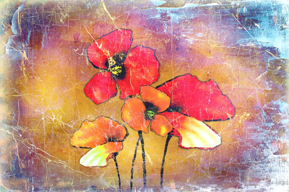 Colorful Vintage Poppies by Rafal Kulik — canvas wall art