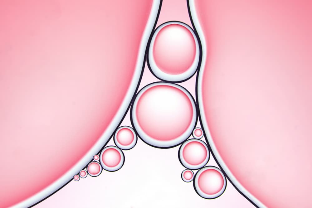 Pink Bubble Abstract by Lydia Jacobs — canvas wall art
