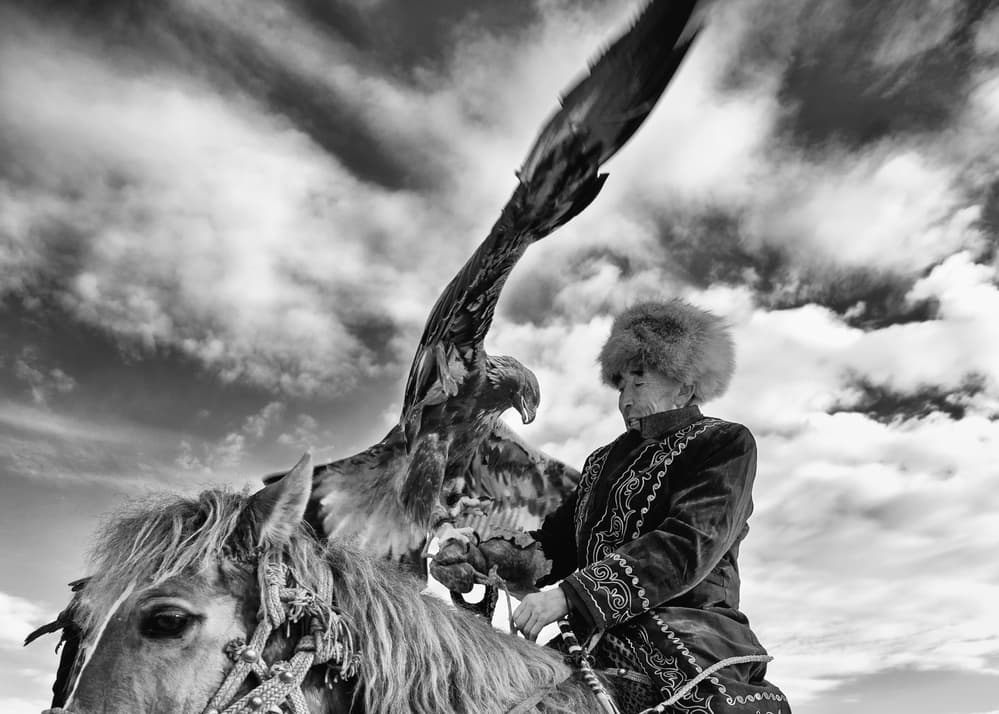 Eagle Hunter and Horse by Shirley Shen — canvas wall art