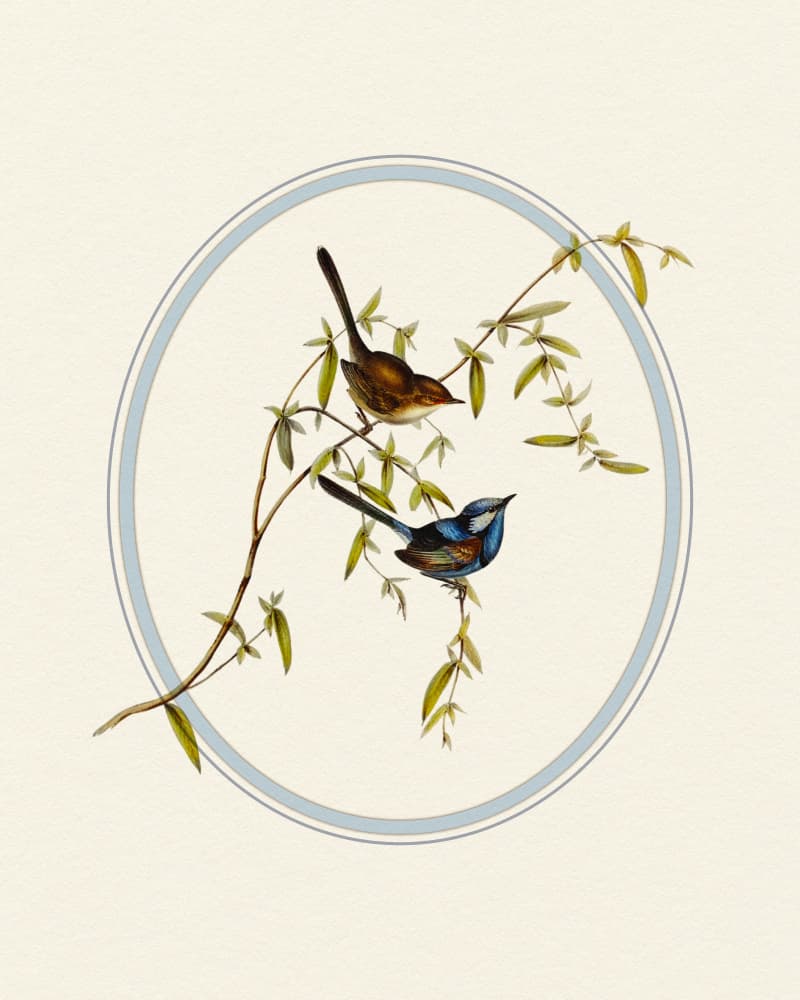 Serene Garden Birds by Wild Violets — canvas wall art