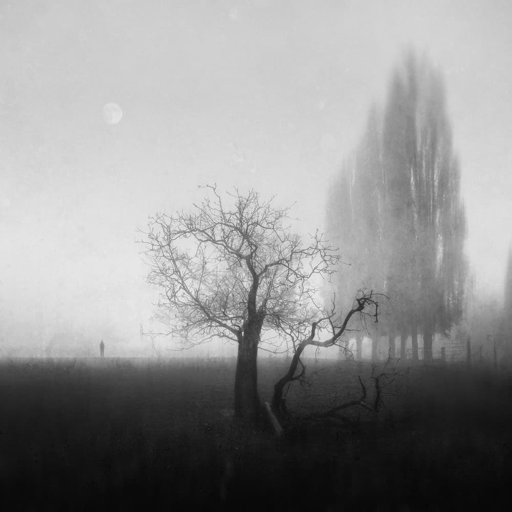 Misty Winter Solitude by Adam Dauria ☂ — canvas wall art