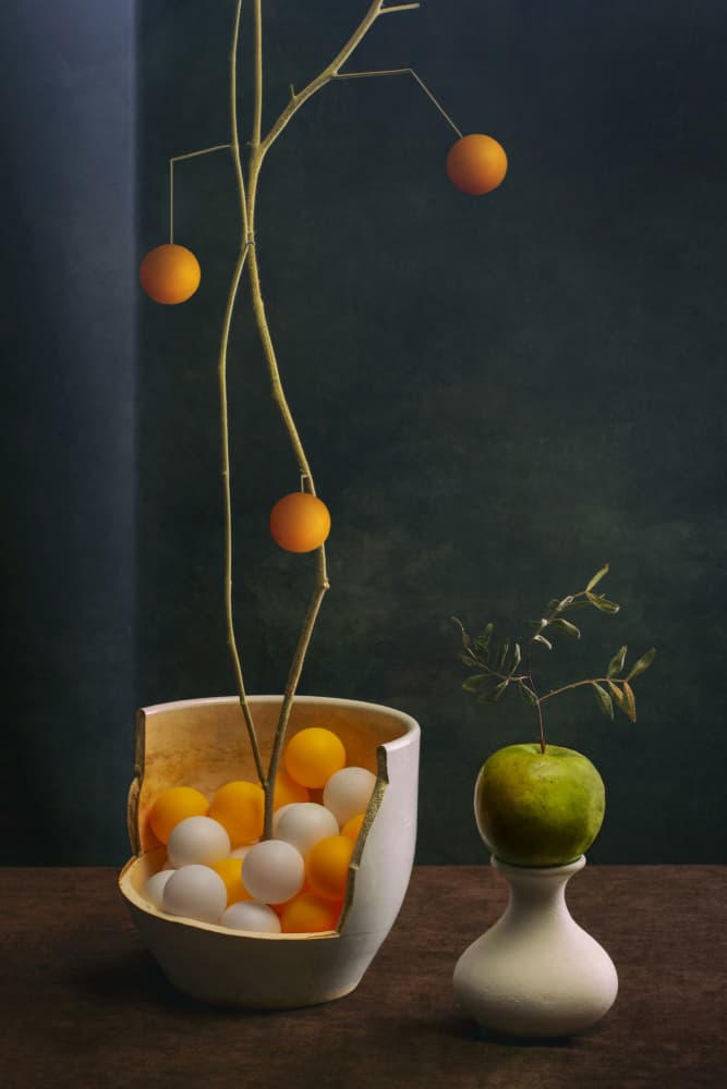 Modern Fruit Arrangement by Brig Barkow — canvas wall art