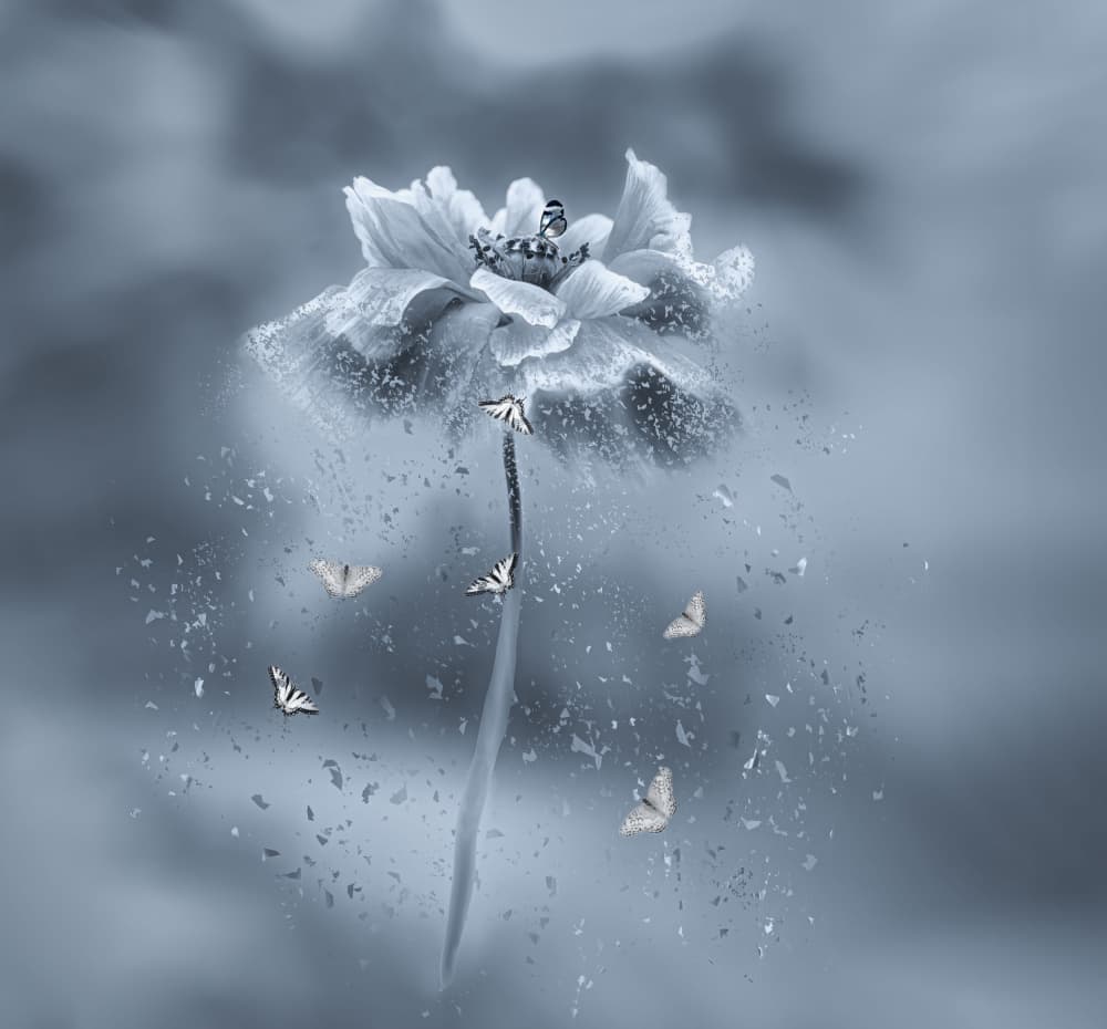 Fading Butterfly Flower by Gu and Hongchao — canvas wall art