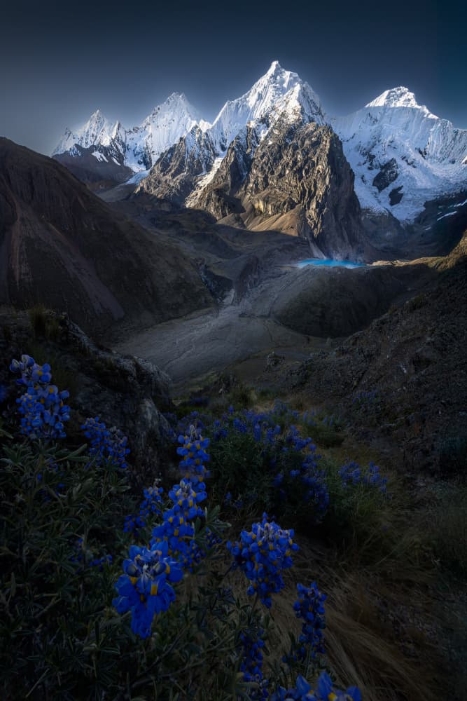 Blue Mountain Peaks by Dennis Zhang — canvas wall art