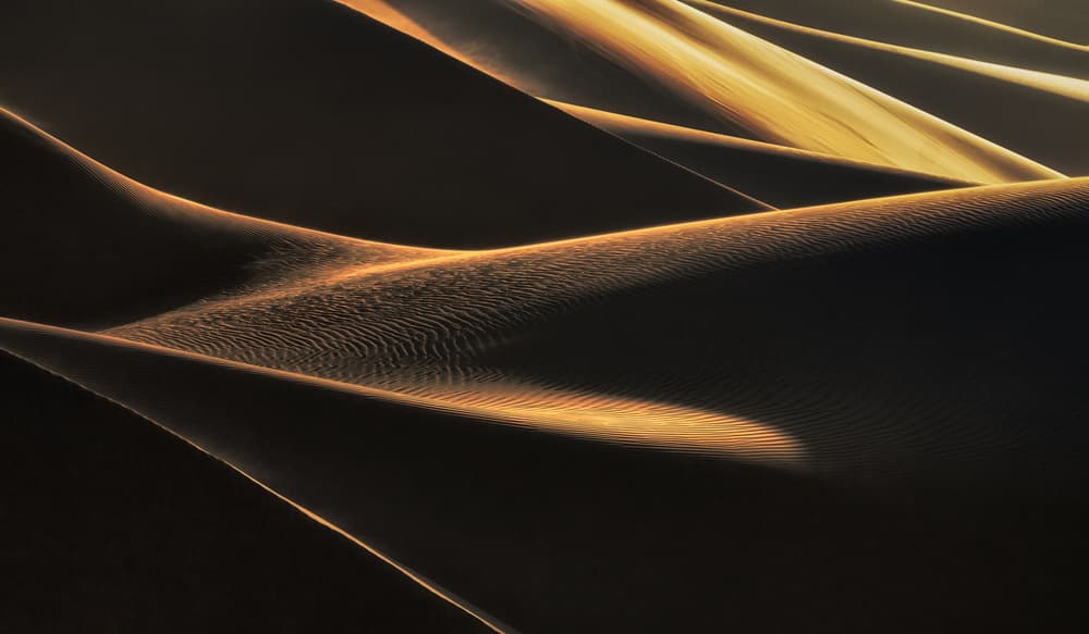 Golden Dune Waves by Babak Mehrafshar — canvas wall art