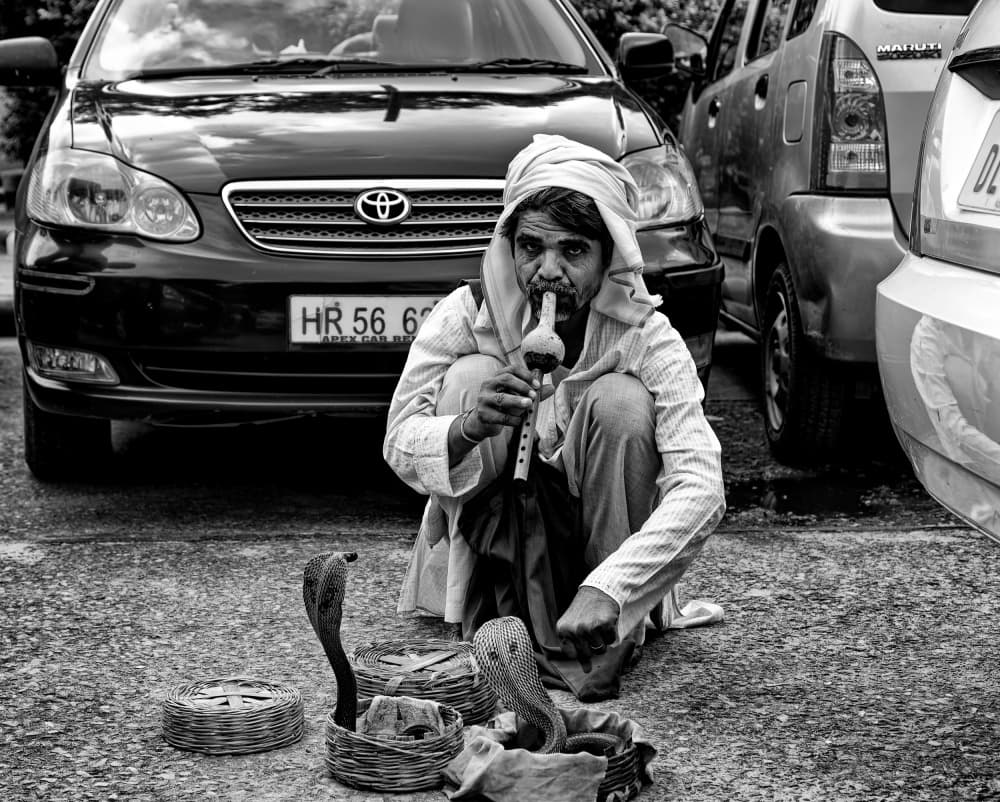 Indian Snake Charmer by John Hoey — canvas wall art