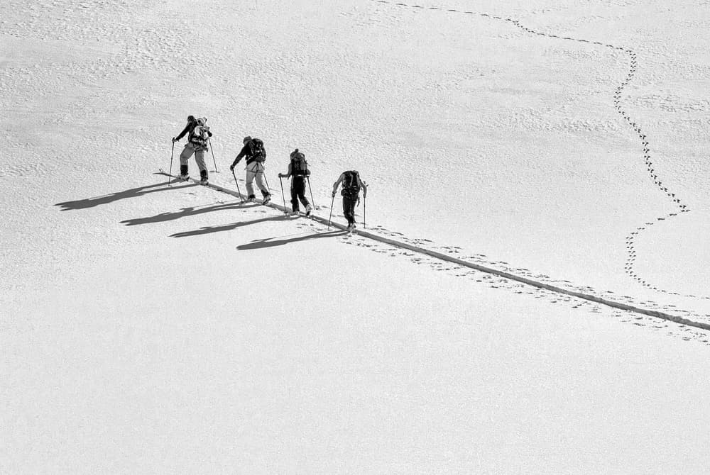 Winter Ski Adventure by Cedric Popp — canvas wall art