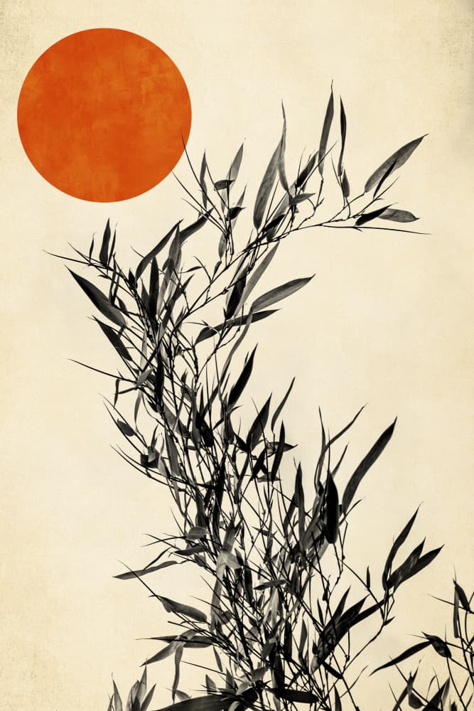 Japanese Birch by Kubistika — canvas wall art