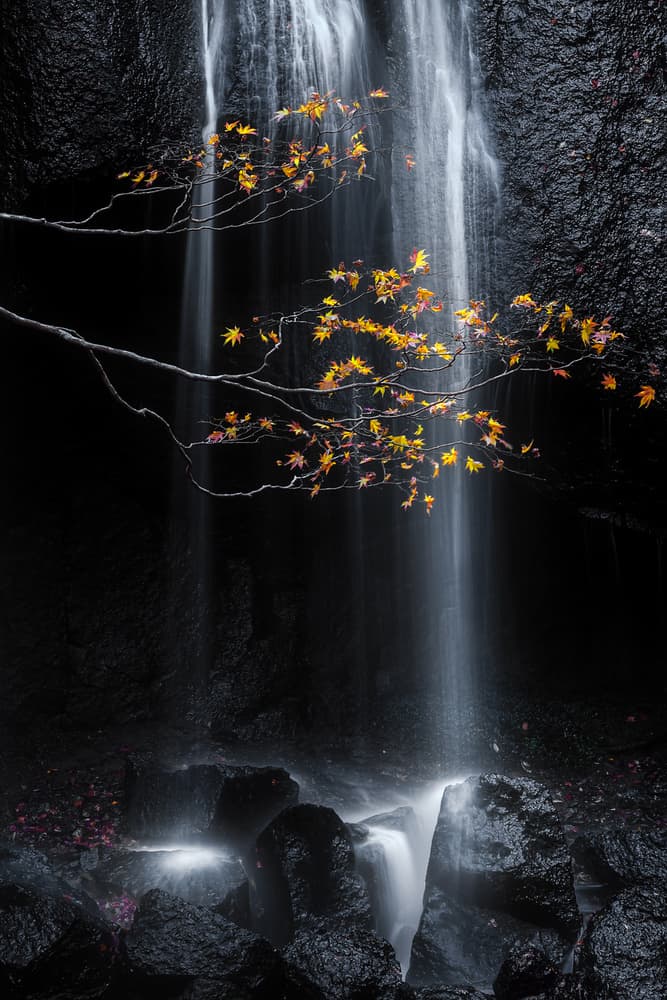 Glowing Autumn Waterfall by SUNTARARAK SAOWANEE — canvas wall art