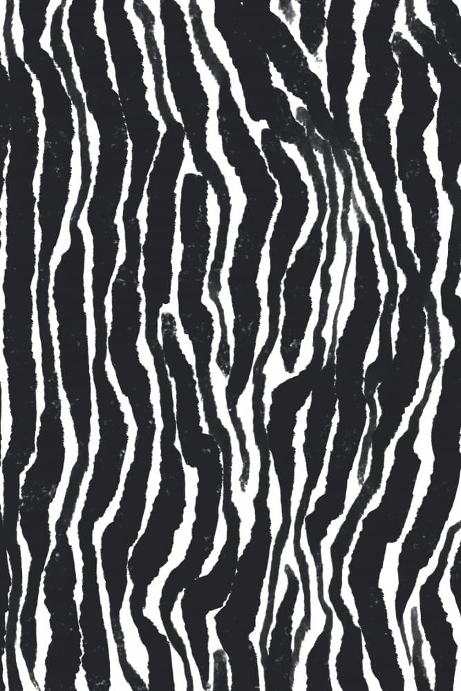 Zebra Rhythm by Treechild — canvas wall art