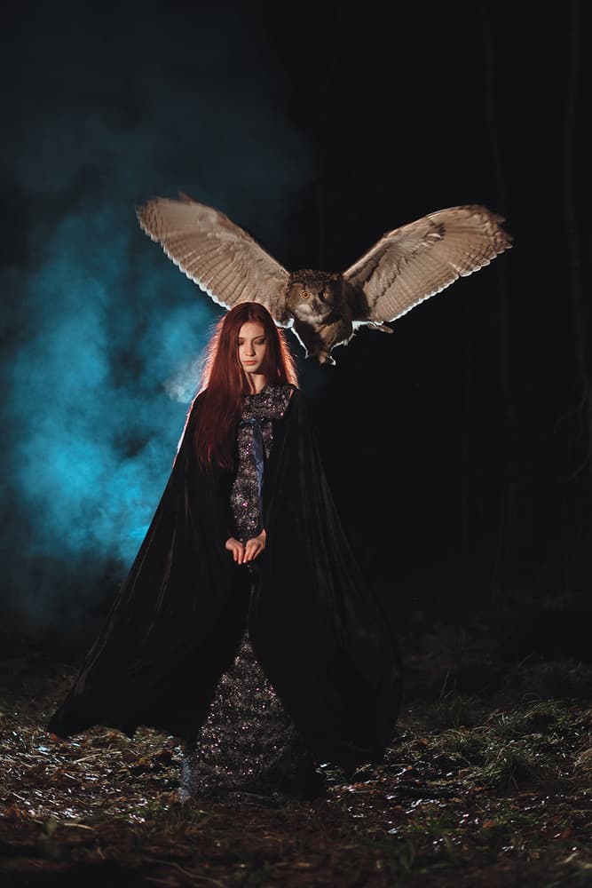 Enchantress and Flying Owl by Olga Barantseva — canvas wall art