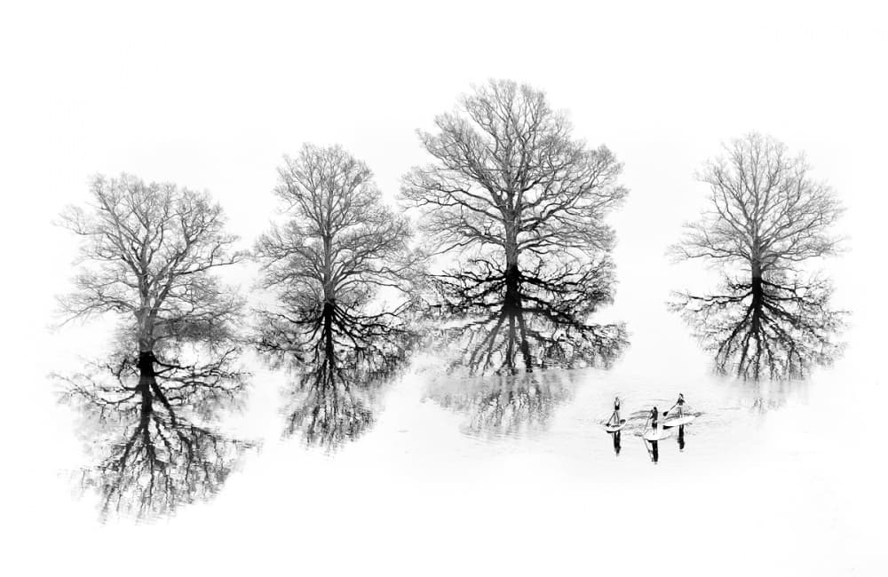 Winter Trees Paddle Boarding by Ales Komovec — canvas wall art