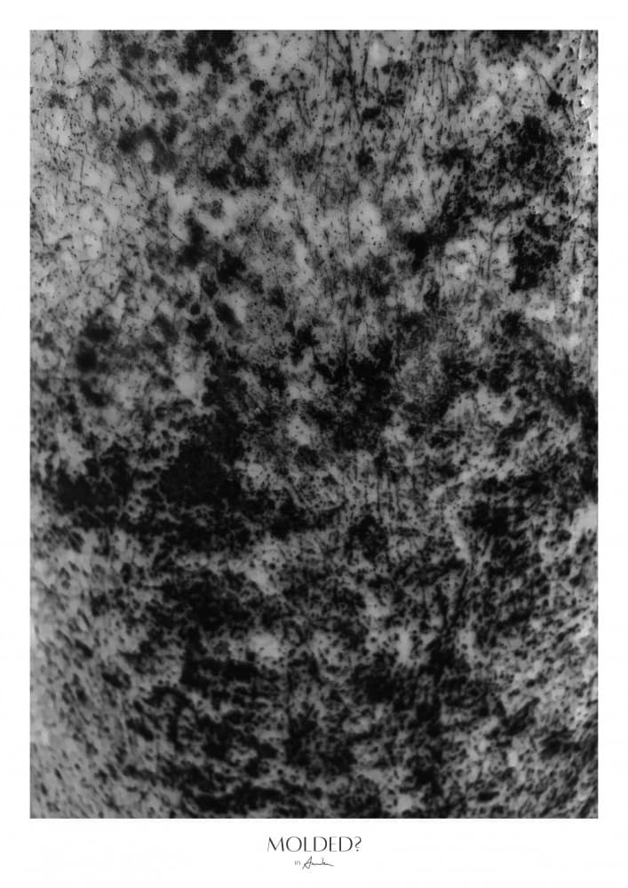Abstract Mold Texture by Annika John — canvas wall art