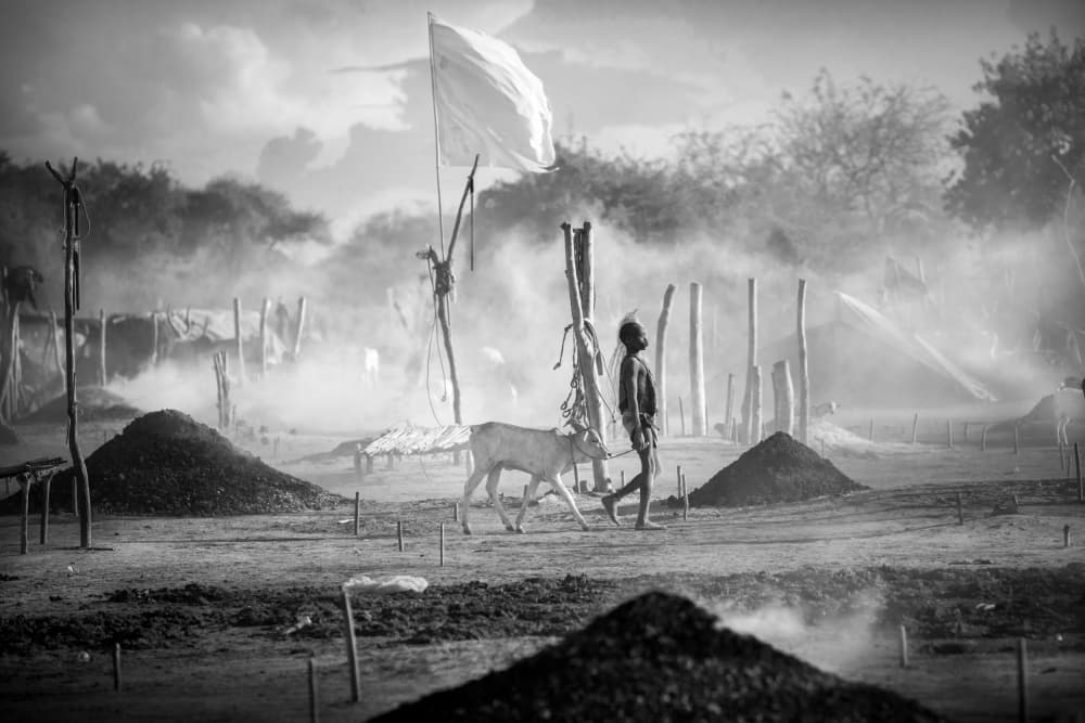 Rural Life Walk by Svetlin Yosifov — canvas wall art