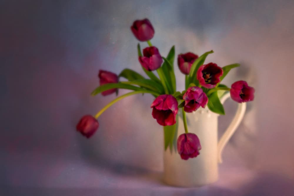 Romantic Tulip Bouquet by Cheryl Eagers — canvas wall art