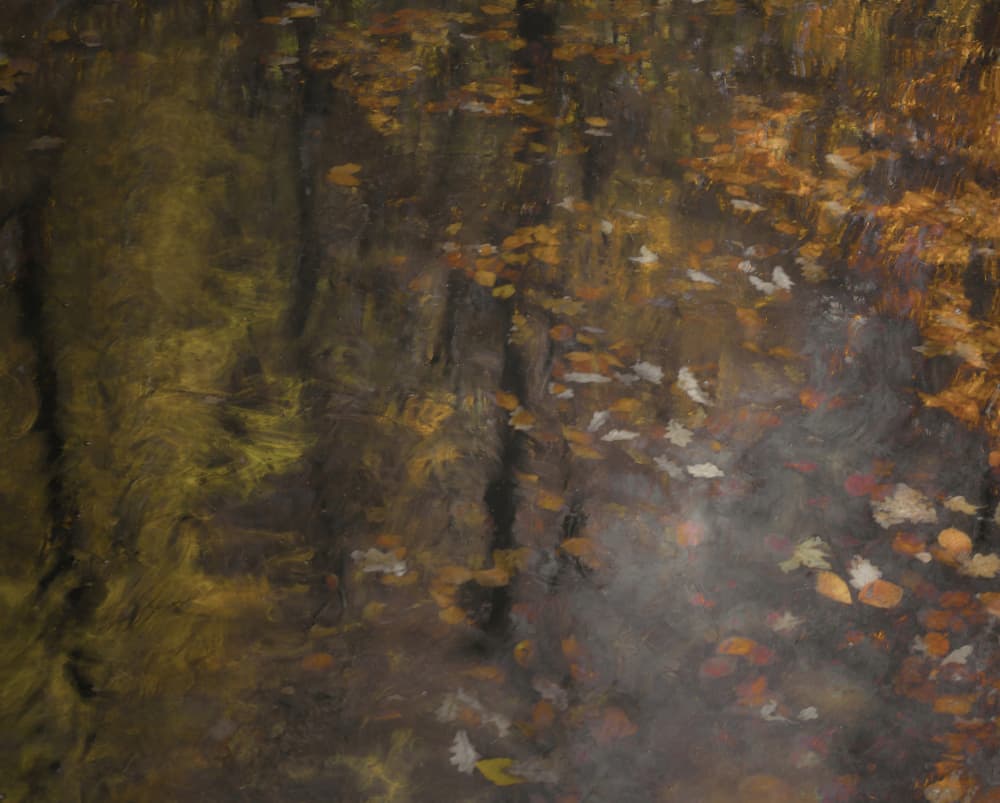 Autumn impression by Nel Talen — canvas wall art
