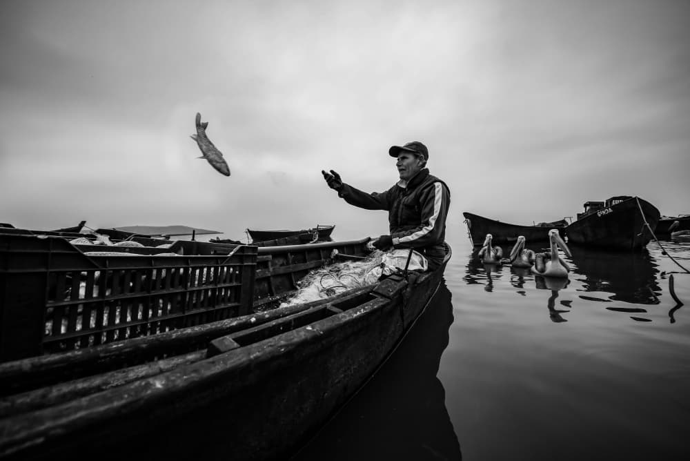 Fisherman And Leaping Fish by Ummu Nisan Kandilcioglu — canvas wall art