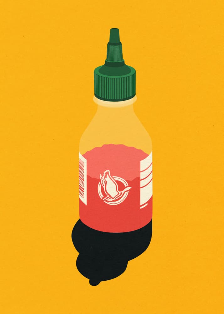 Chilli Sauce by Rosi Feist — canvas wall art