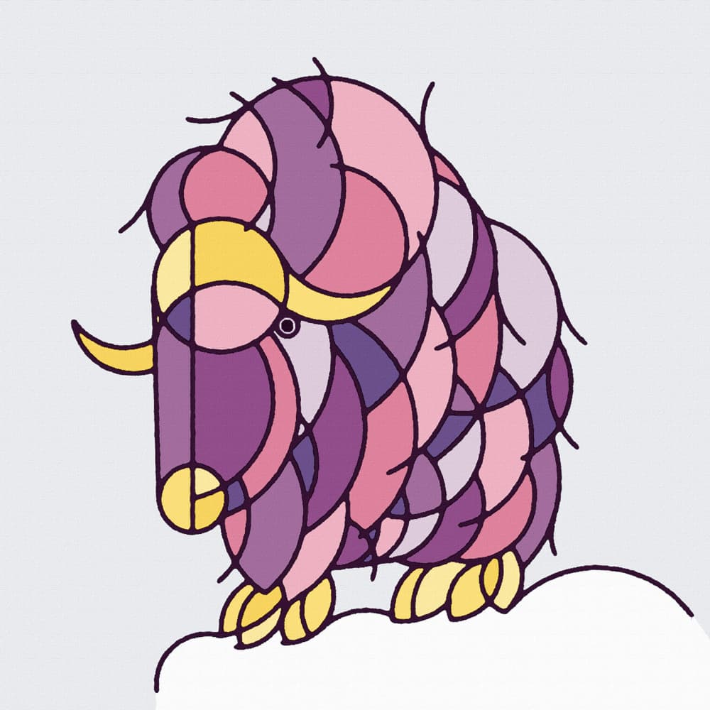 Vibrant Arctic Musk Ox by Rafa Mateo — canvas wall art
