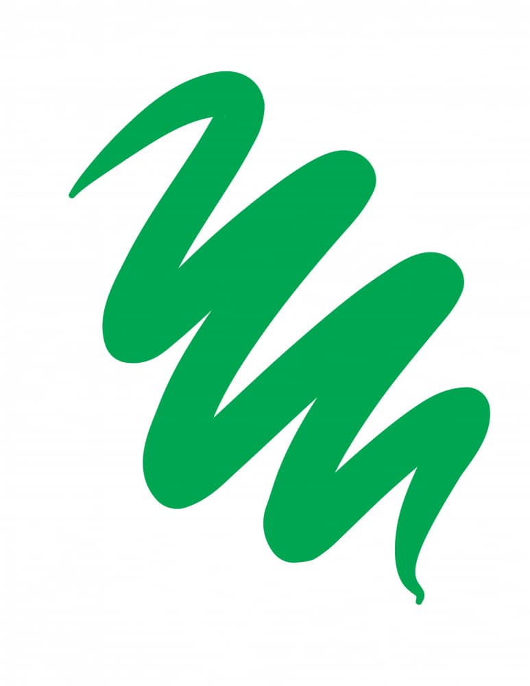 Vibrant Green Squiggle by Nicholas — canvas wall art