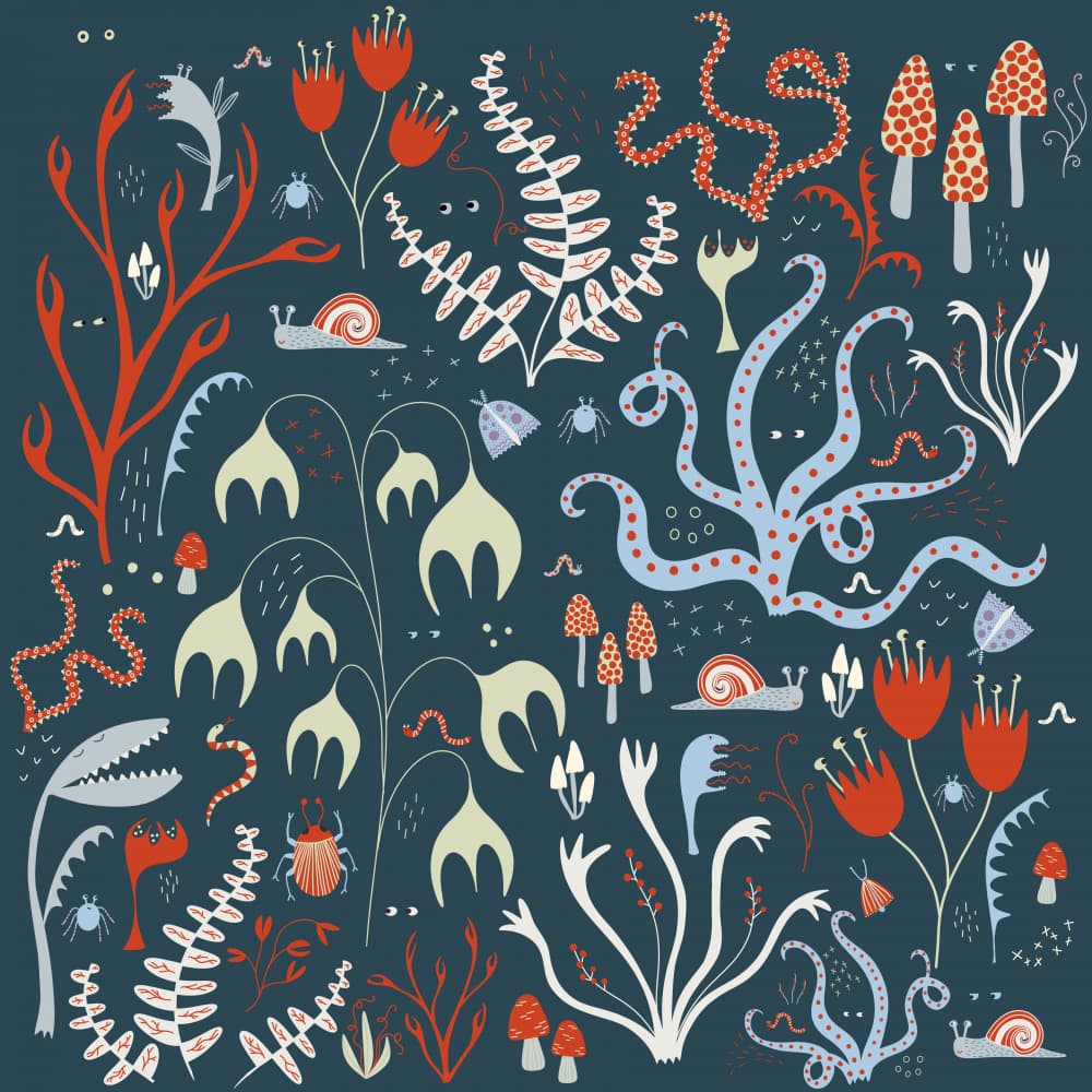 Hidden Forest Creatures