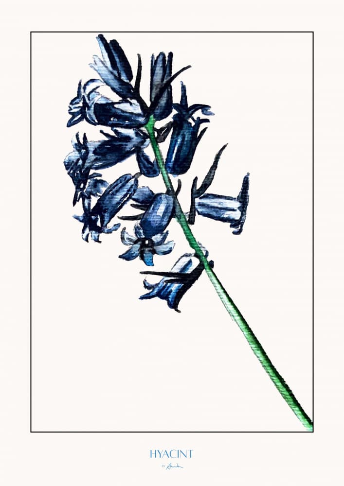 Elegant Blue Hyacinth by Annika John — canvas wall art